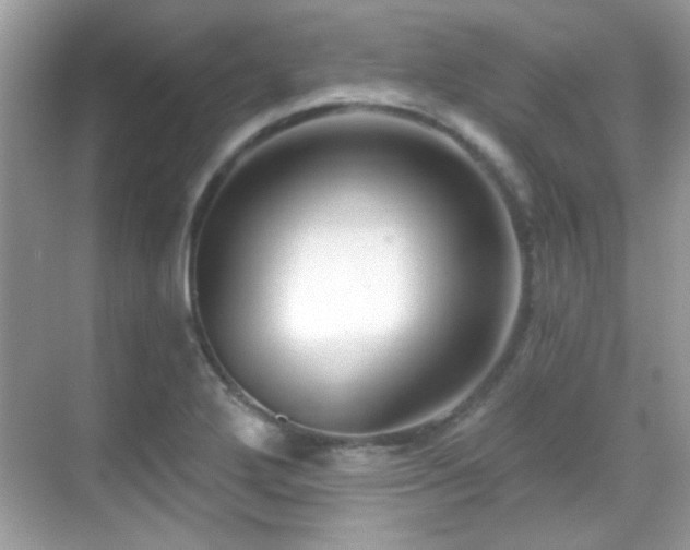 X0000069361272200605121107