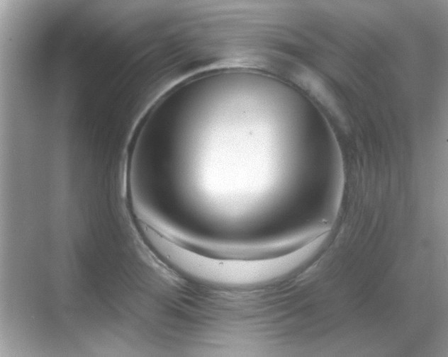X0000069361276200605121107