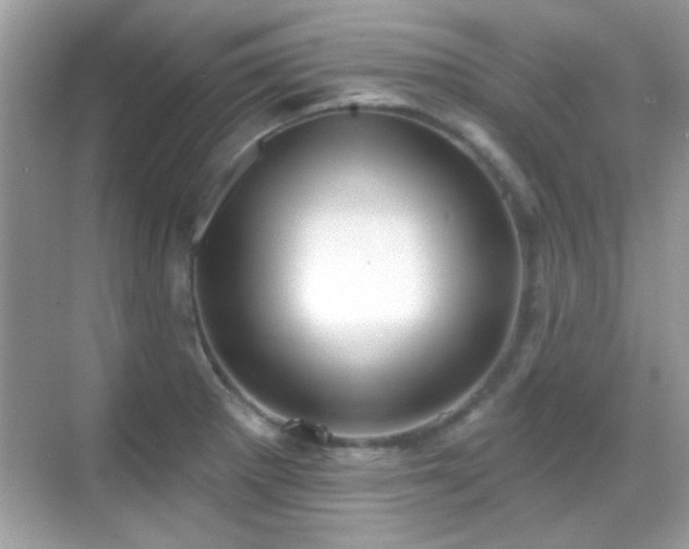 X0000069361281200605121107