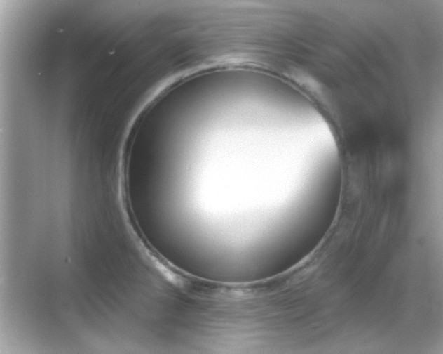 X0000069361286200605121107