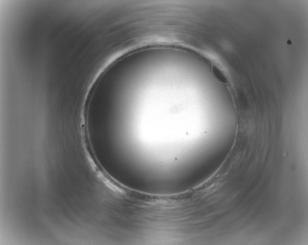 X0000069361287200605121107