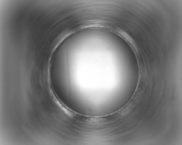 X0000069361290200605121107