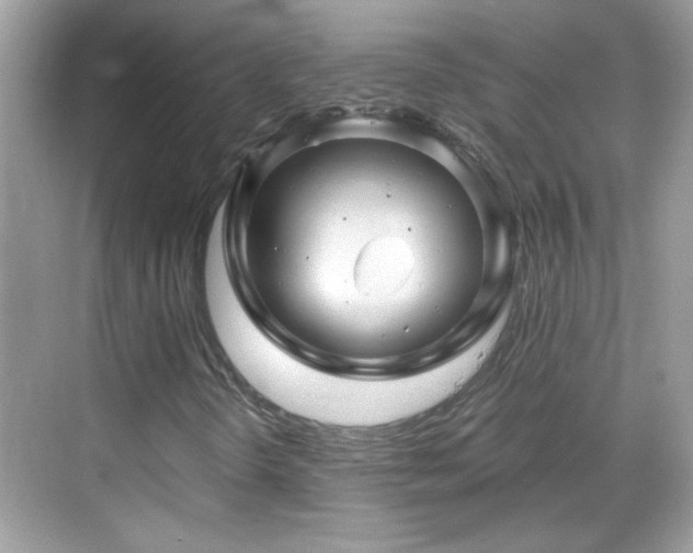 X0000069361298200605121106