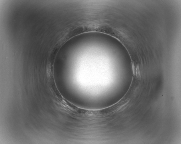 X0000069361299200605121106