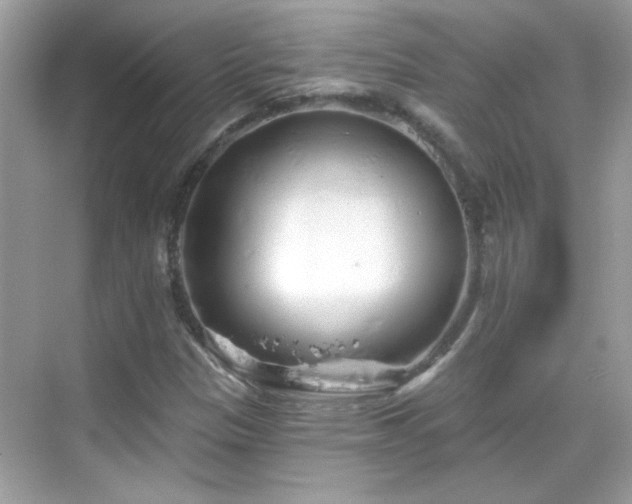 X0000069361305200605121106