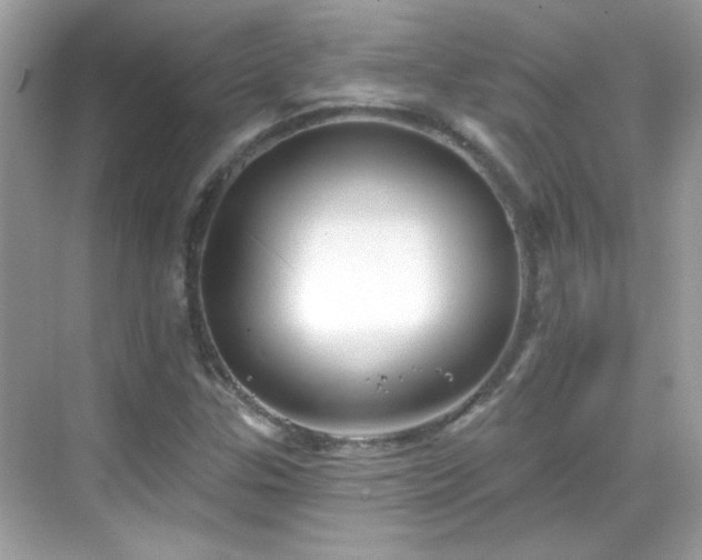 X0000069361307200605121106