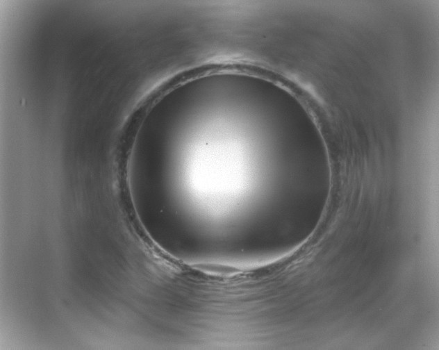 X0000069361311200605121106