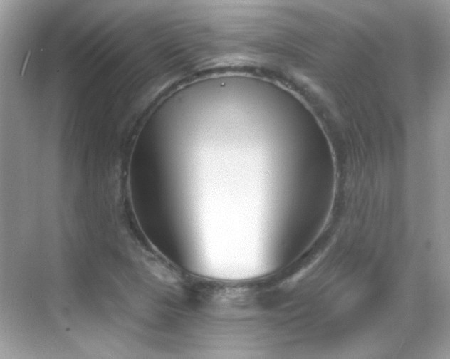 X0000069361313200605121106