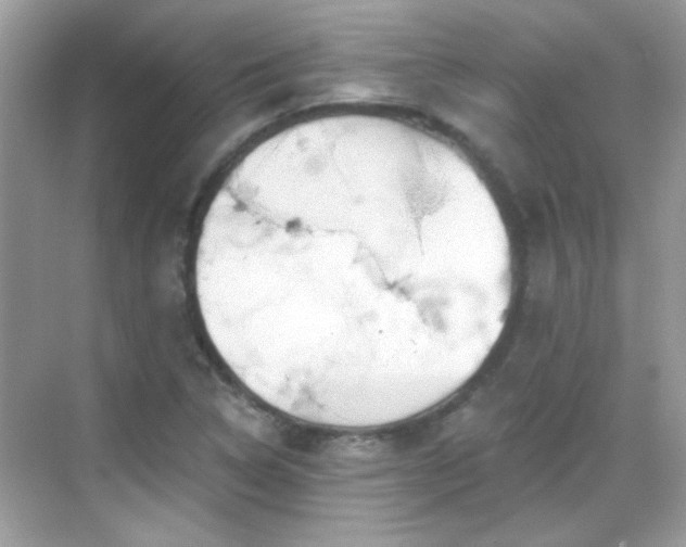 X0000069361314200605121106
