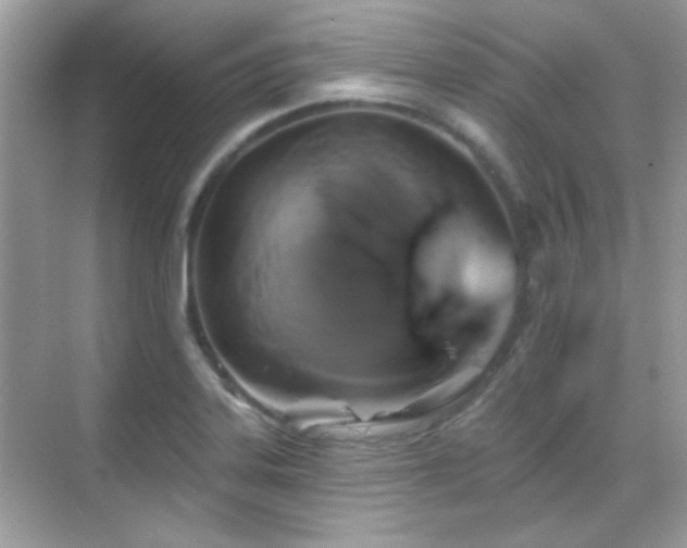 X0000069361323200605121106