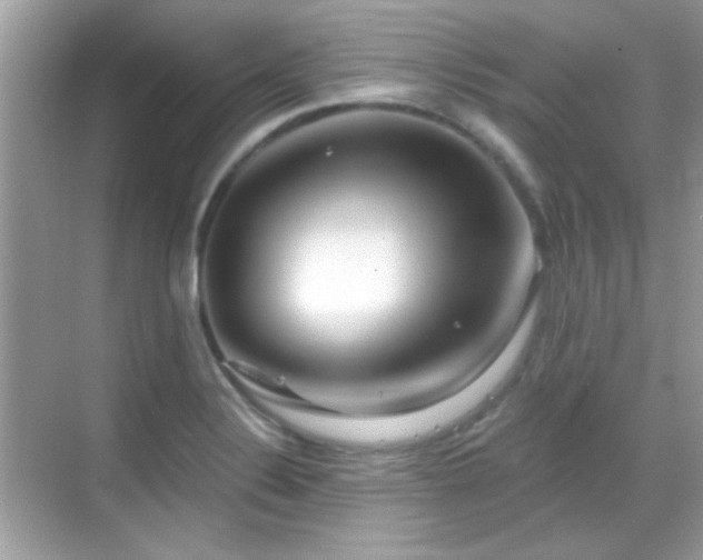 X0000069361324200605121106
