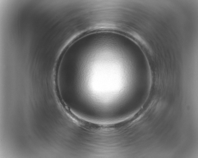 X0000069361325200605121106