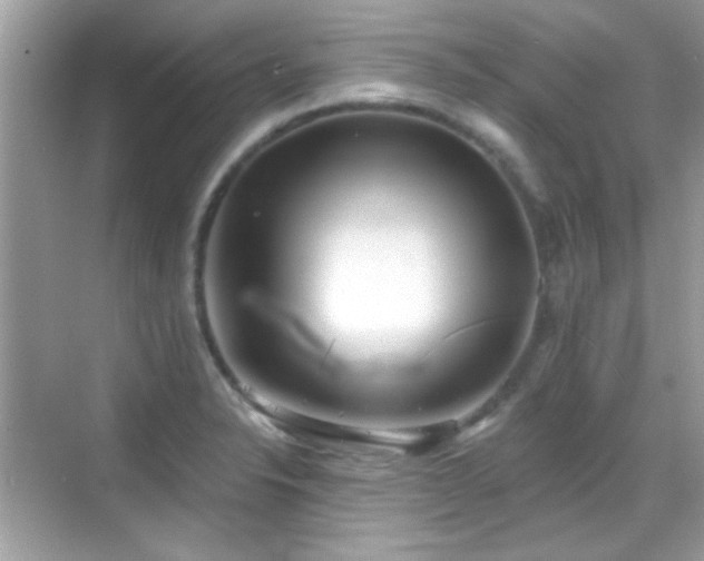X0000069361326200605121106