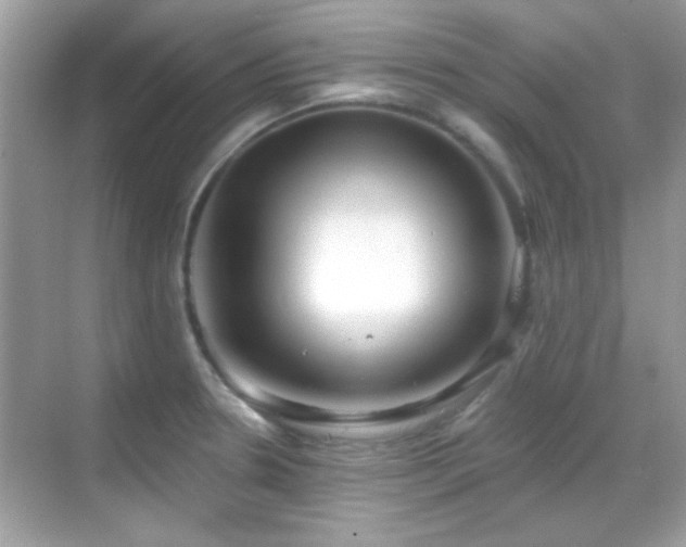 X0000069361330200605121106