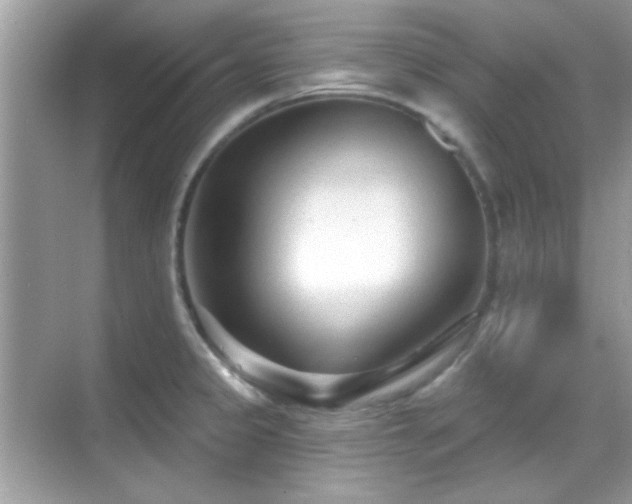 X0000069361333200605121106