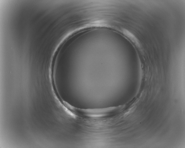 X0000069361334200605121106