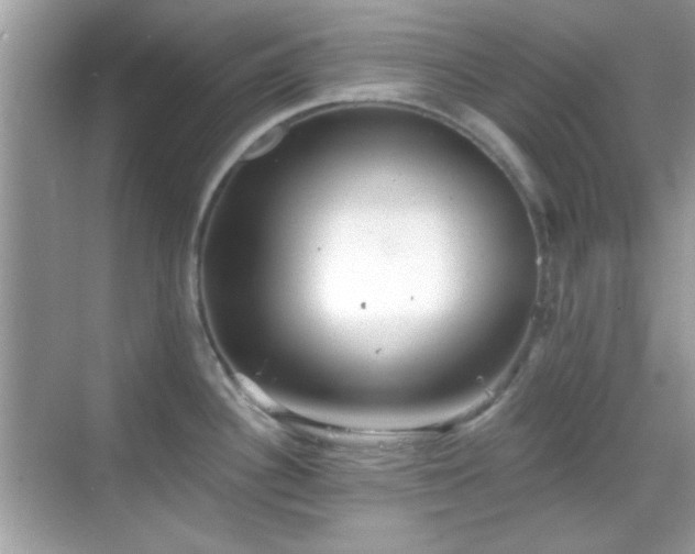 X0000069361340200605121107