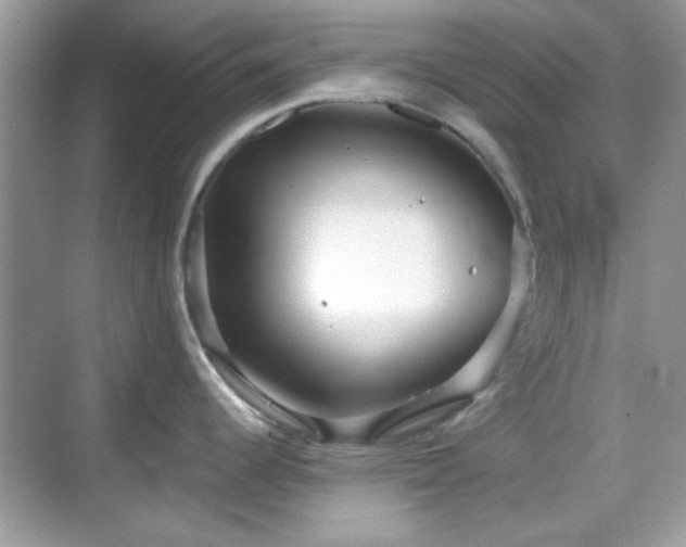 X0000069361344200605121107