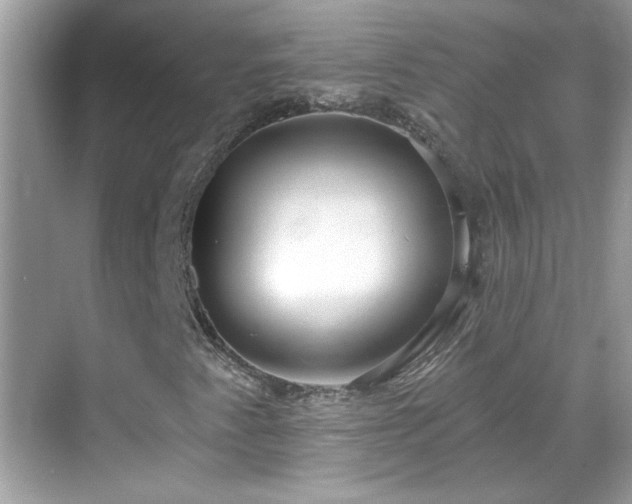 X0000069361345200605121106