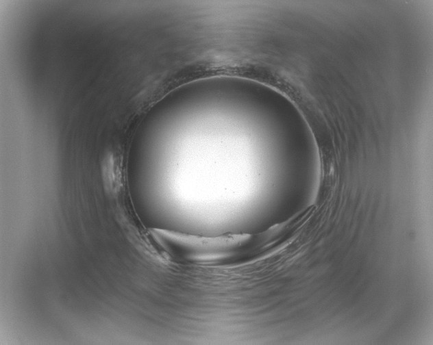 X0000069361348200605121106