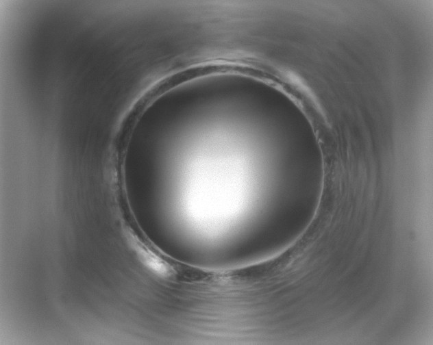 X0000069361360200605121106