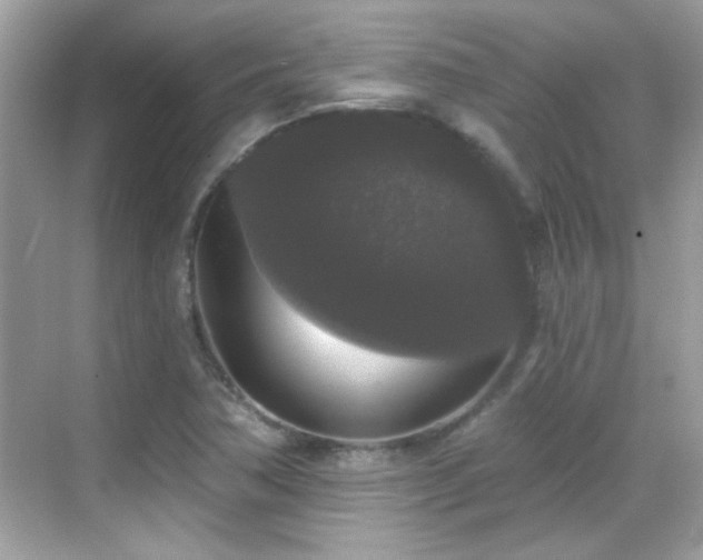 X0000069361362200605121106