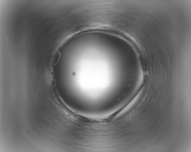 X0000069361363200605121106