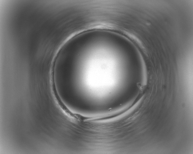 X0000069361375200605121105
