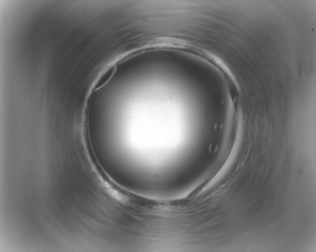 X0000069361379200605121105