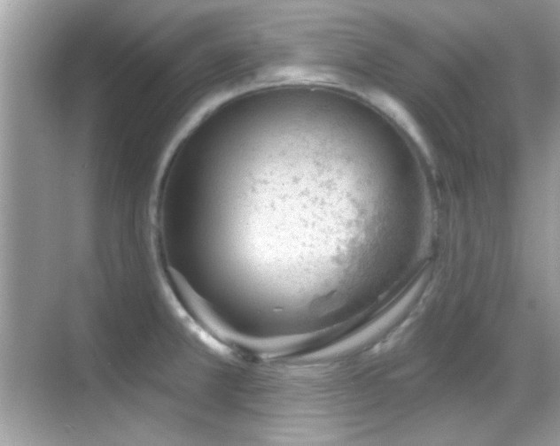 X0000069361381200605121105