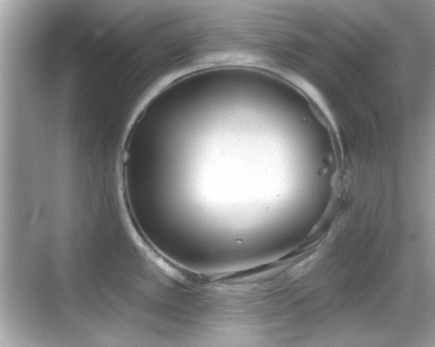 X0000069361389200605121105