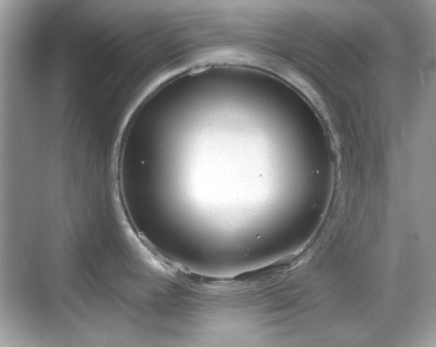 X0000069361392200605121105