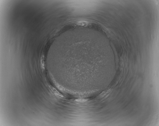 X0000069361394200605121104