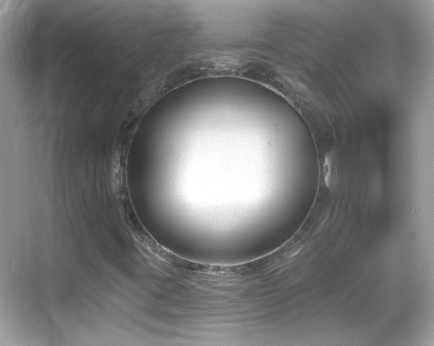 X0000069361395200605121104