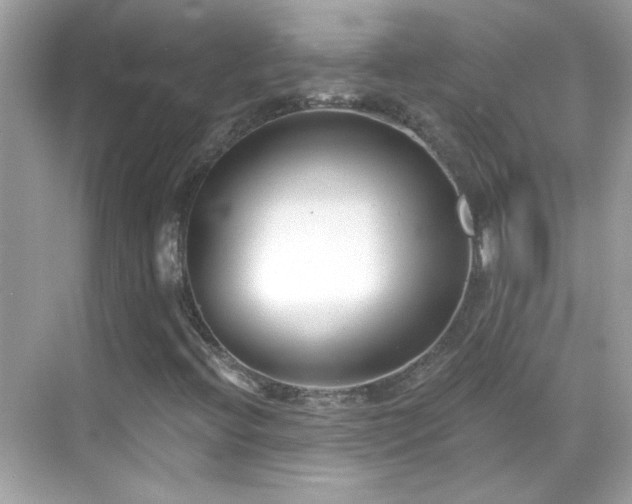 X0000069361396200605121104