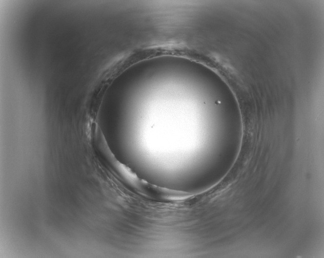 X0000069361398200605121104