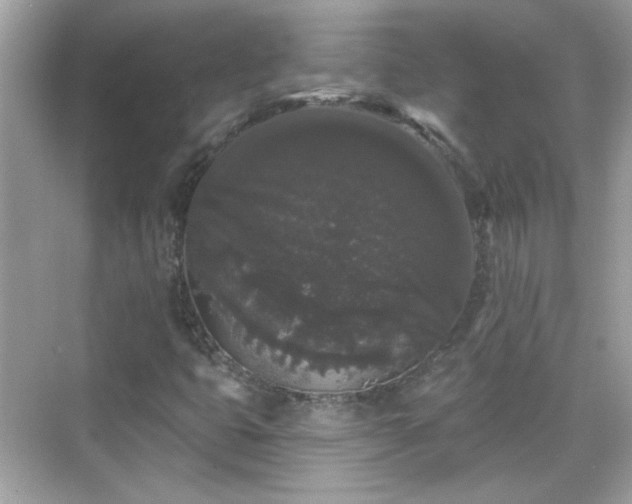 X0000069361399200605121104