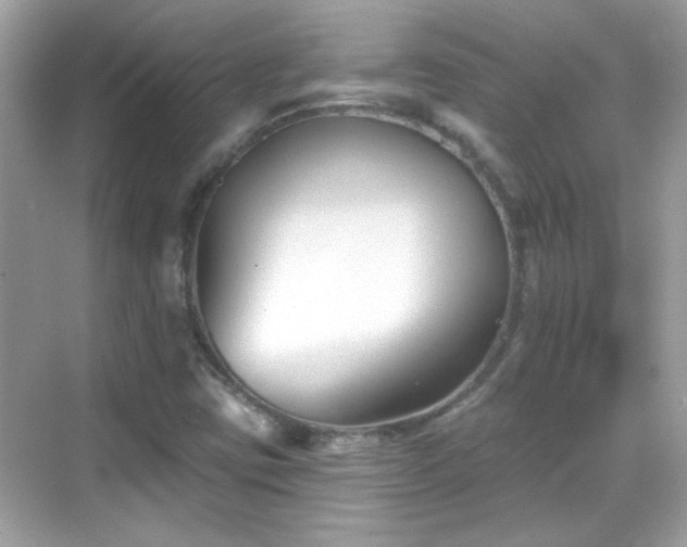X0000069361403200605121104