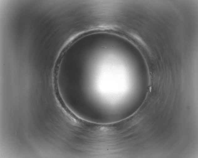 X0000069361412200605121105