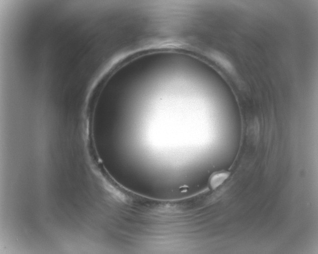 X0000069361414200605121105