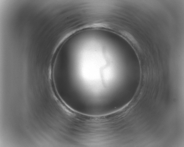 X0000069361420200605121105