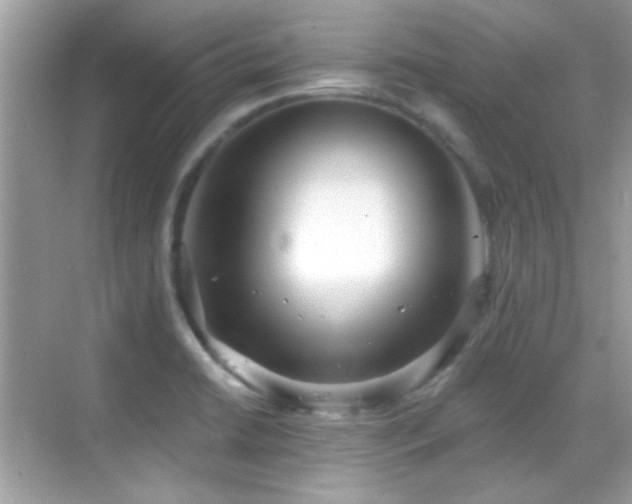 X0000069361422200605121105