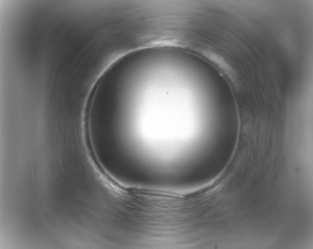 X0000069361423200605121105