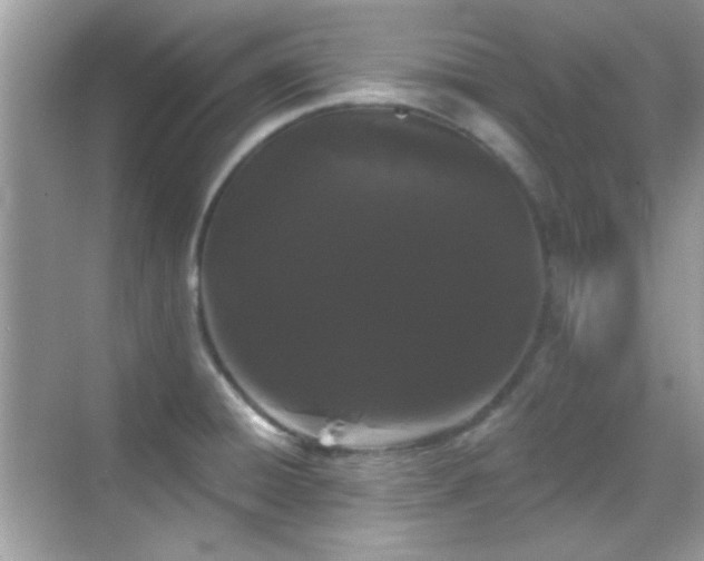 X0000069361428200605121105