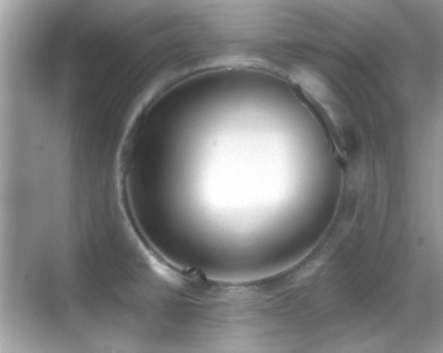 X0000069361430200605121105