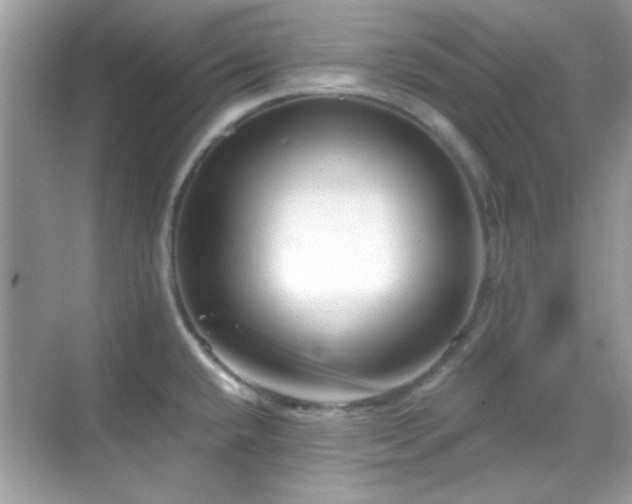 X0000069361432200605121105