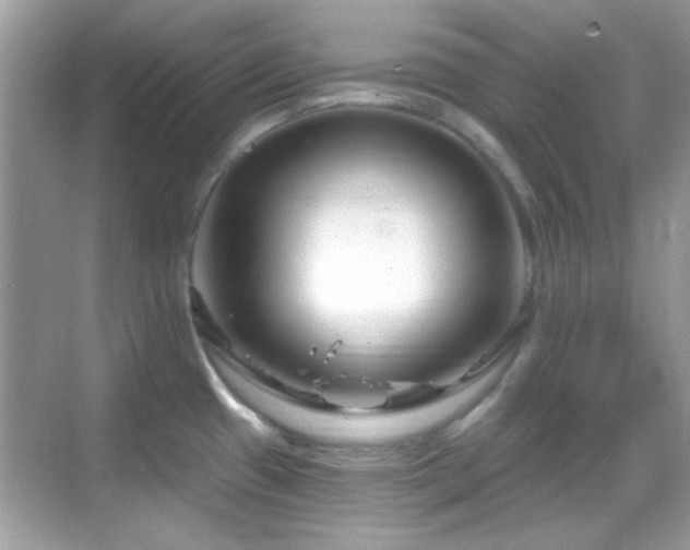 X0000069361433200605121105