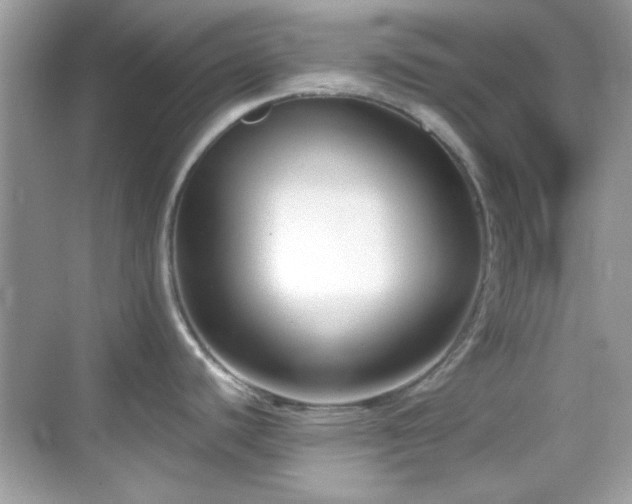 X0000069361440200605121105