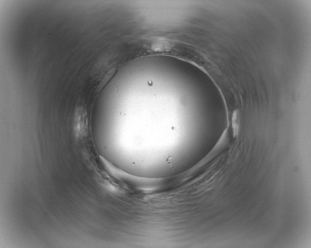 X0000069361443200605121104