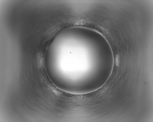 X0000069361444200605121104